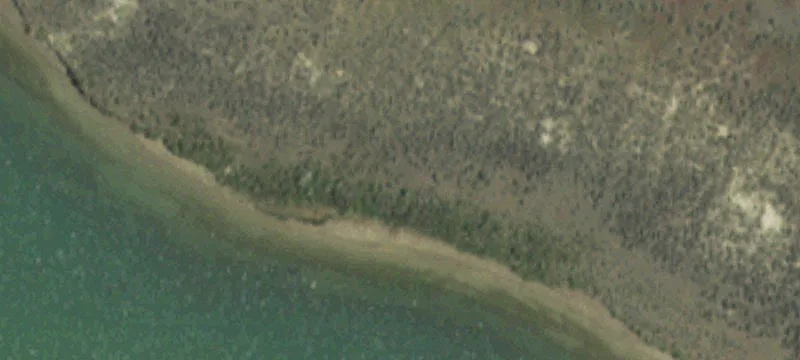 61 Nielson Rd
