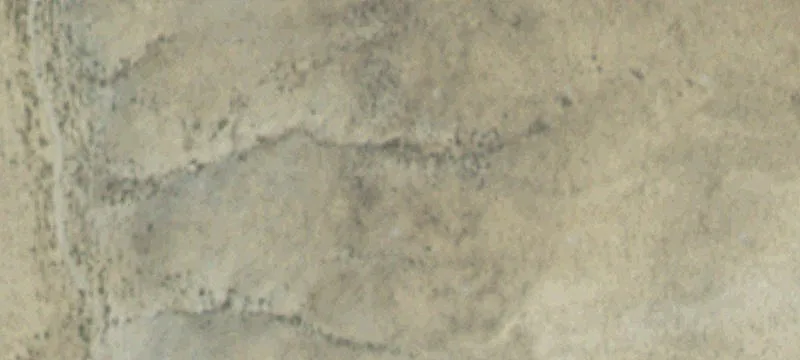 Lovell, WY 82431