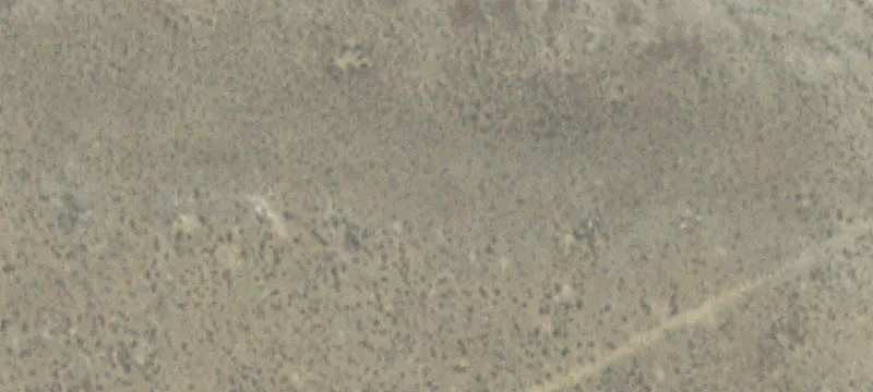 Shell, WY 82441