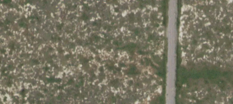 2239 New Hvn Rd