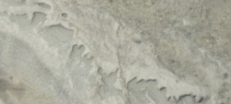 Lovell, WY 82431