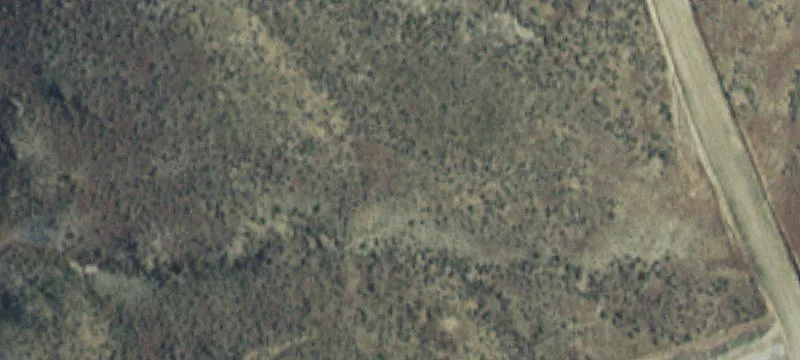 Shell, WY 82441