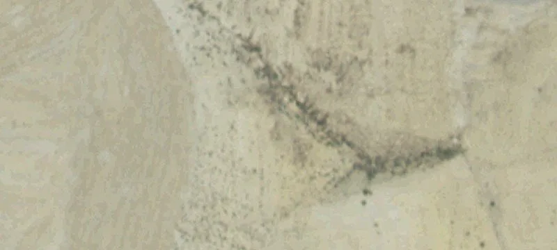 Lovell, WY 82431