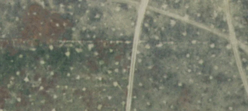 Muskrat Rd