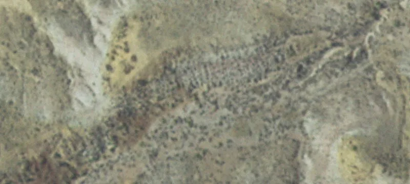 11917 Us Hwy 26