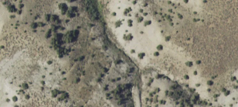 Wild Horse Hl