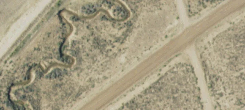Dry Piney
