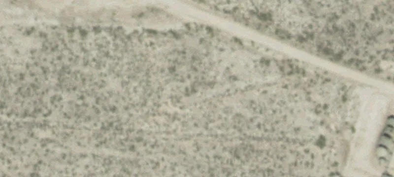 Dry Piney