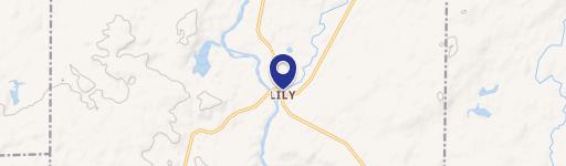 Lily Junction Bar & Grill - Turnkey!