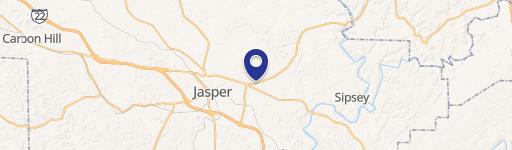 Jasper Commercial Property - 16.8 Acres