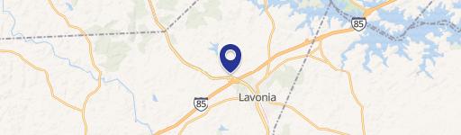 Prime Lavonia Commercial Lot