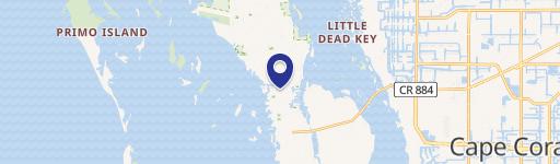  not like the small green Mangos in the grocery stores from other countries