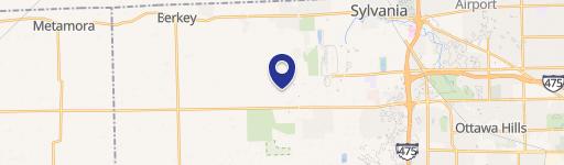 Sylvania Commercial Land - 29 Acres