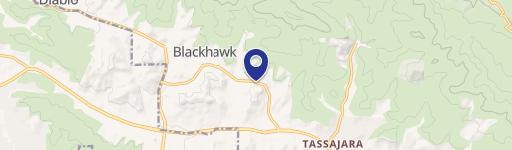 599 Blackhawk Clb Dr