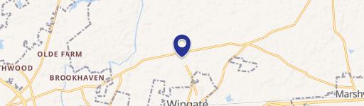 1009 Austin Chaney Rd