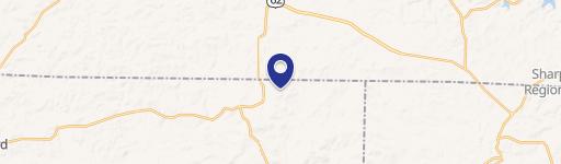 1309-1311 Grapevine Ln