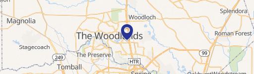 10101 Woodloch Forest Dr