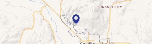 Hwy395 & Buena Vis -