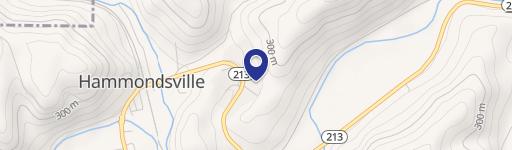 15992 State Route 213