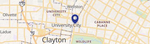 6193 Skinker Blvd St