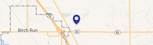 9515 Birch Run Rd
