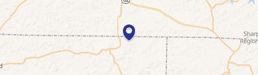 1309 Huckle Berry Ln