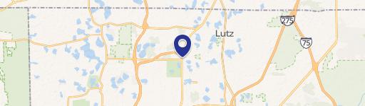 33548 Dale Mabry Hwy