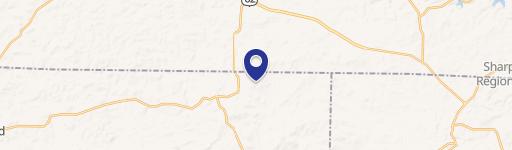 1303 Huckle Berry Ln