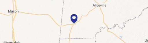 Aliceville, AL 35442