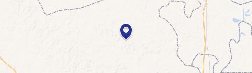 Livingston, AL 35470