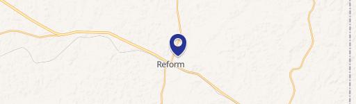Reform, AL 35481