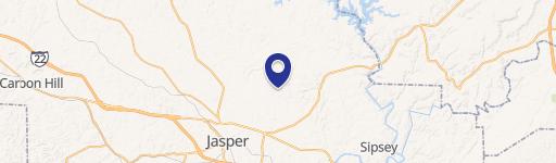Jasper, AL 35504