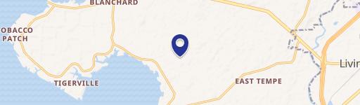 Wooded Lot Near Lake Livingston