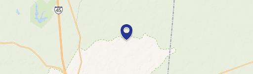 Unrestricted Land in New Waverly ISD