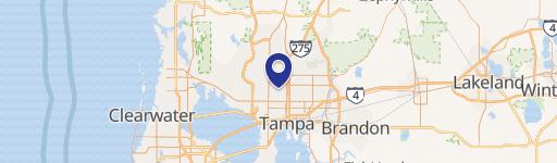 Residential Lot in Central Tampa