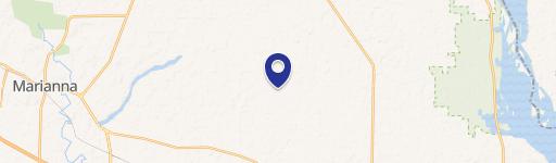 Cleared Homesite Near Blue Springs