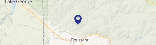 Land with Stream Near Pines