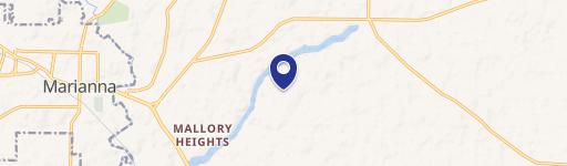 Wooded Lot Near Merritt's Mill