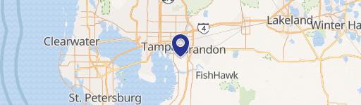 Residential Lot in Tampa, FL