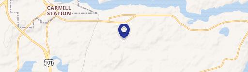 Forested Land Parcel in Shelton