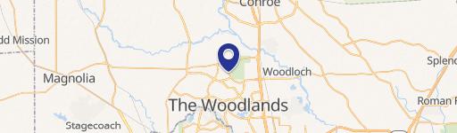 Stylish Two-Story Home in Woodlands