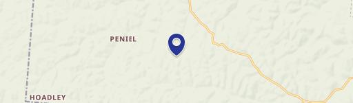 Ranch with Acreage Near Forest