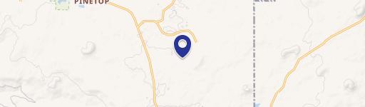 Spacious Pinetop Home with Fireplaces