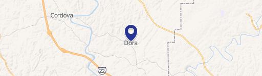 Dora Home with Acreage