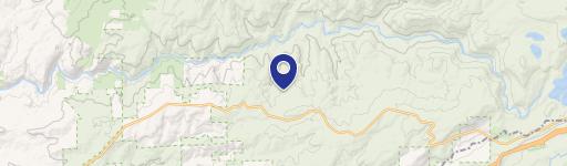 Forested Land Near Nevada City