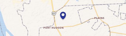 Plains Pecan Orchard Land