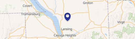 Woodland Park Townhome with Pond