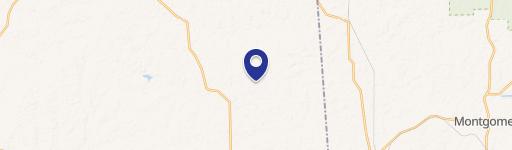 Cleared Pasture Land in Plantersville