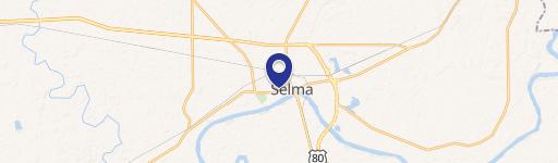 40 Acres of Timberland