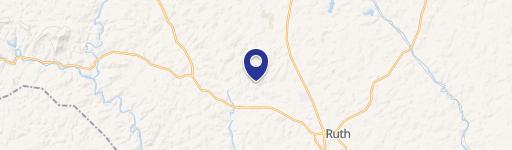 Wooded Lot in Gated Community